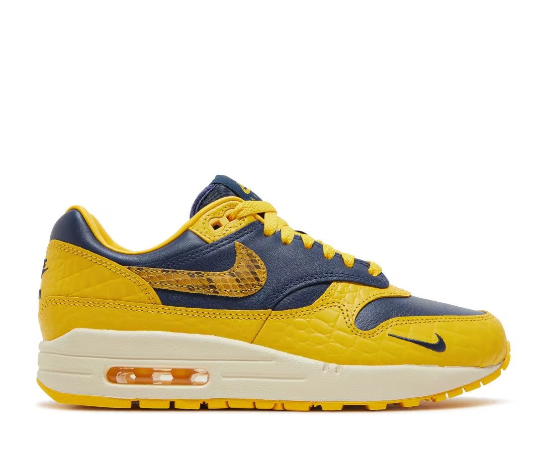 Nike Nike Air Max 1 CO.JP Michigan Head to Head