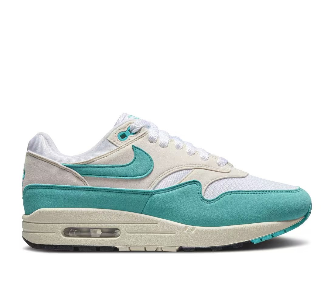 Nike Nike Air Max 1 Dusty Cactus