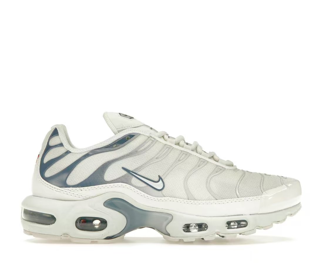 Nike Nike Air Max Plus Ashen Slate