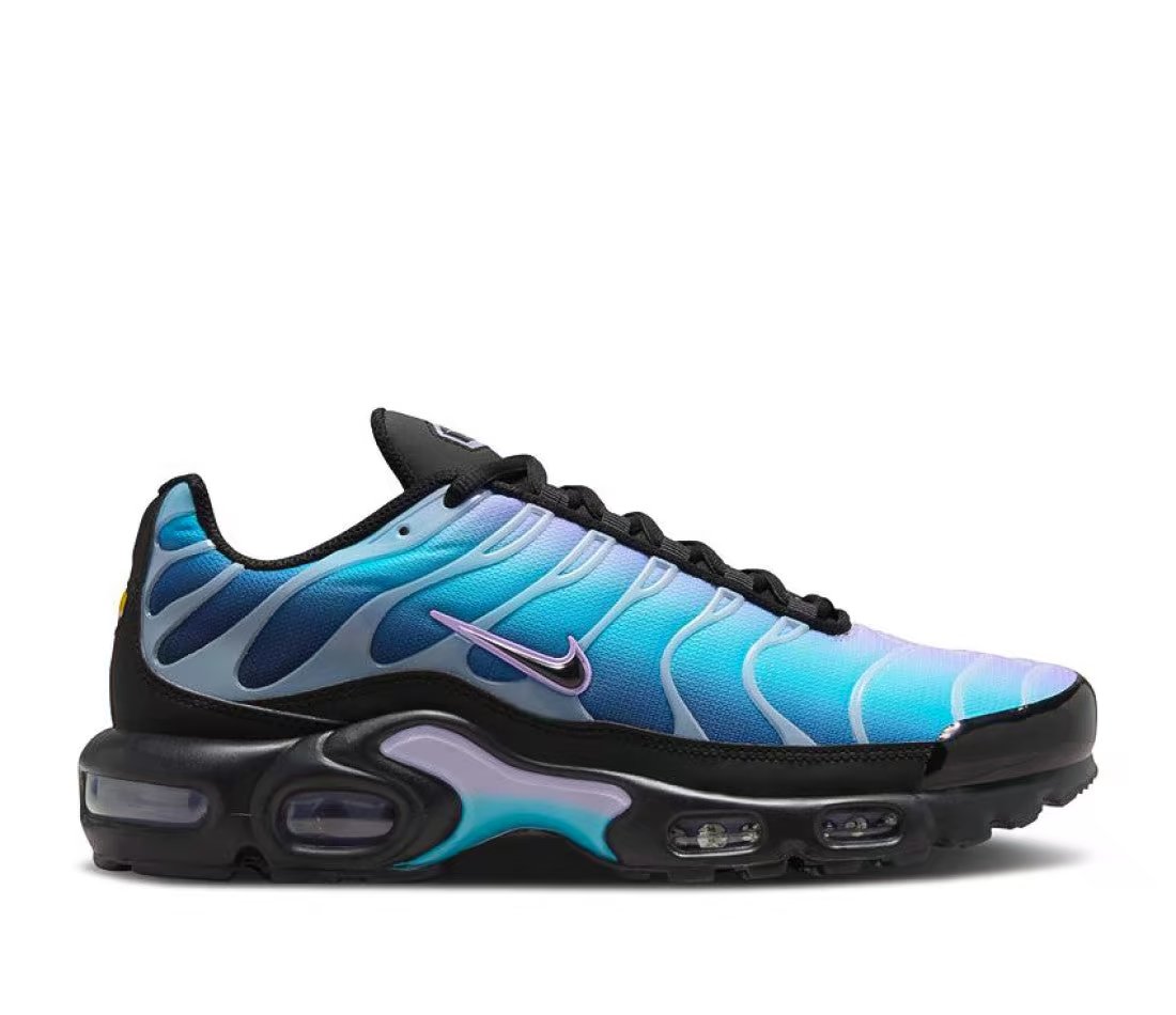 Nike Nike Air Max Plus Black Hydrangeas