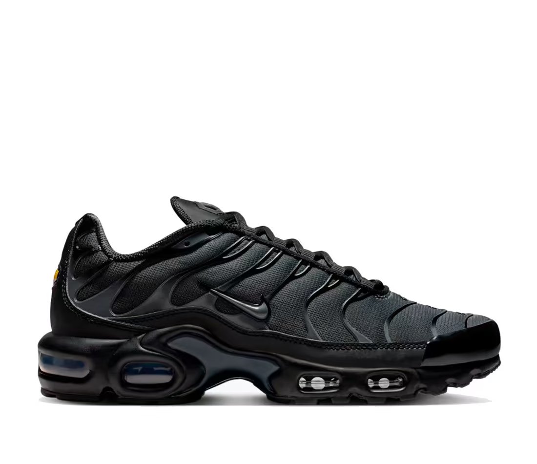Nike Nike Air Max Plus Black Metallic Silver