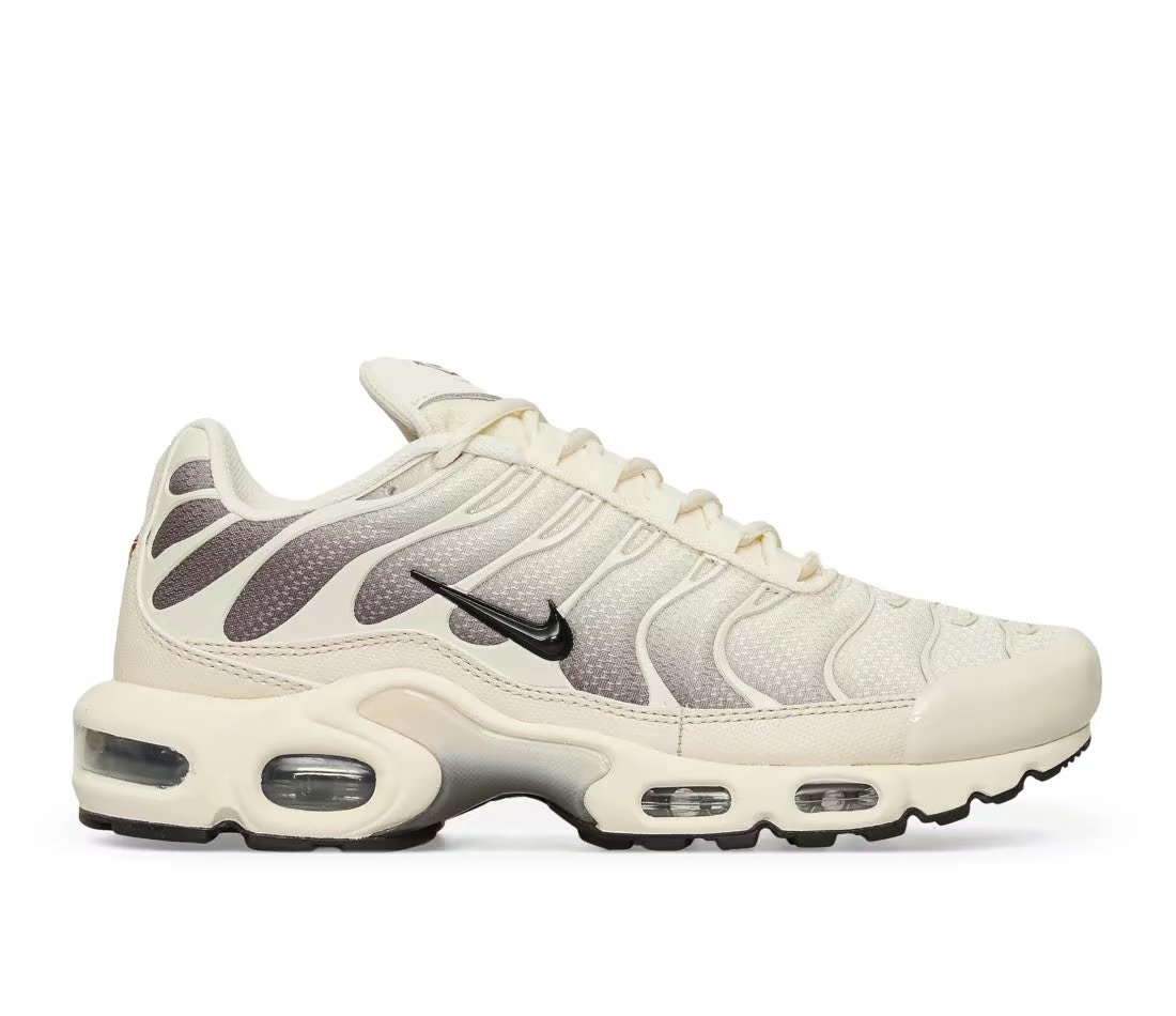 Nike Nike Air Max Plus Cave Stone
