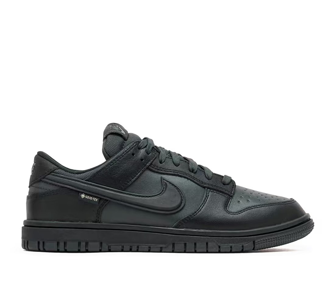 Nike Nike Dunk Low GTX Black