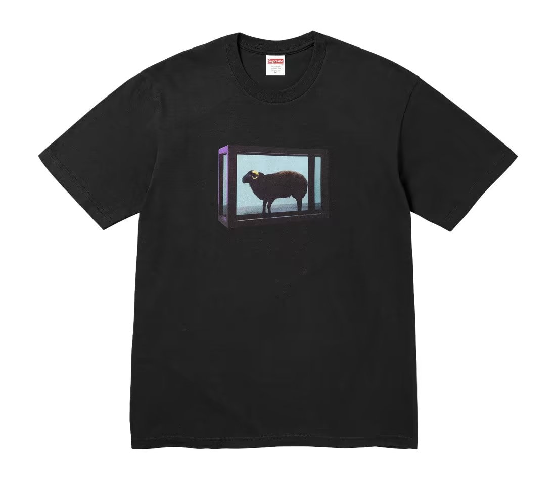 Supreme Supreme Damien Hirst Tee Black